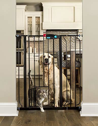 Carlson Pet Products carlson Pet Products bramy z drzwiami z PET, czarnym, wyjątkowo wysokiej