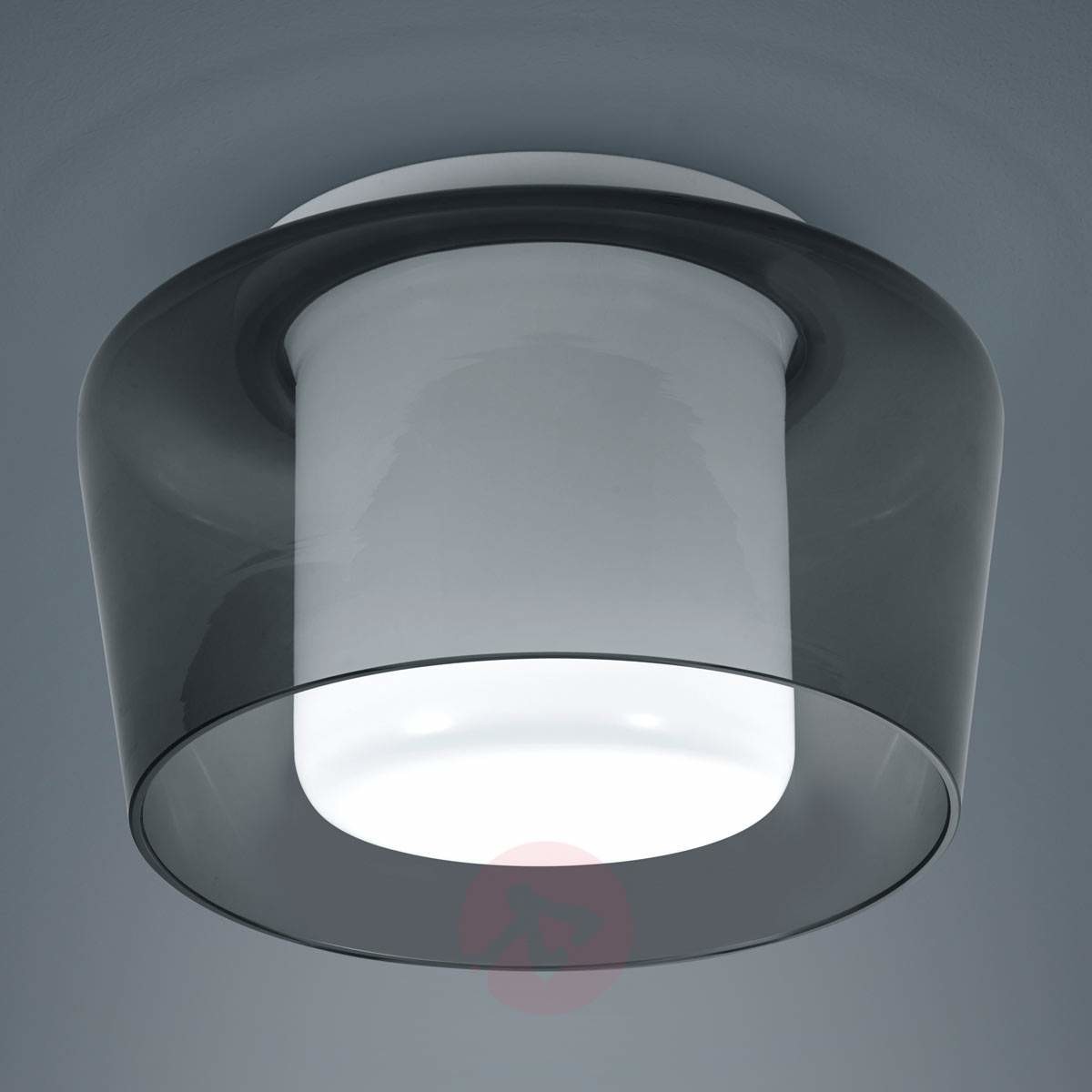 Helestra Canio Lampa sufitowa Biały, Siwy, 1-punktowy 15/1735.07/5240