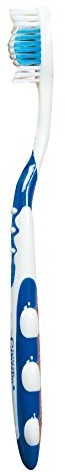 Capitano Captain Paste pędzel Medium 0345200