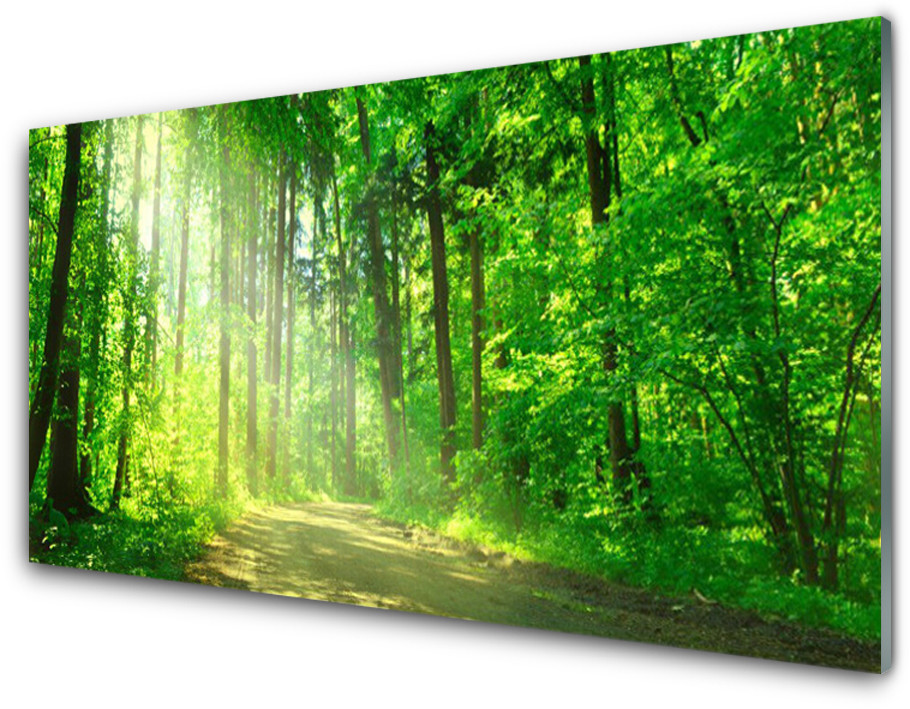 Tulup.pl Panel Szklany Las dróżka Drzewa Natura 100x50cm