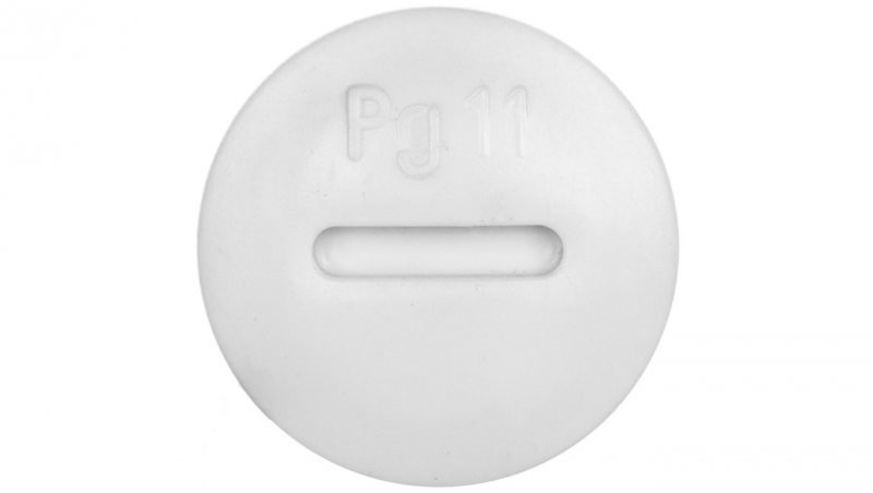 Lapp Kabel Zaślepka poliamidowa PG11 SKINDICHT BLK 11 52005960 /100szt./ 52005960