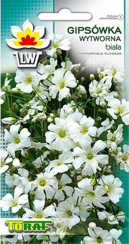 Toraf KWIATY Gipsówka wytworna biała nasiona 1g 00393