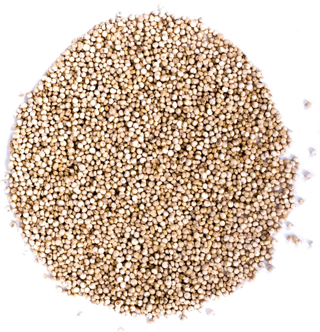 Planteon Quinoa biała 5kg 2-0140-02-6