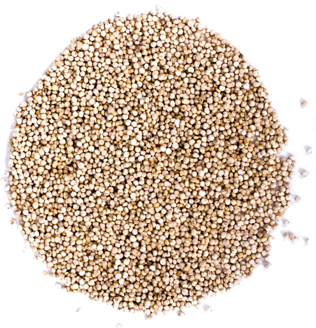 Planteon Quinoa biała 1kg 2-0140-02-1