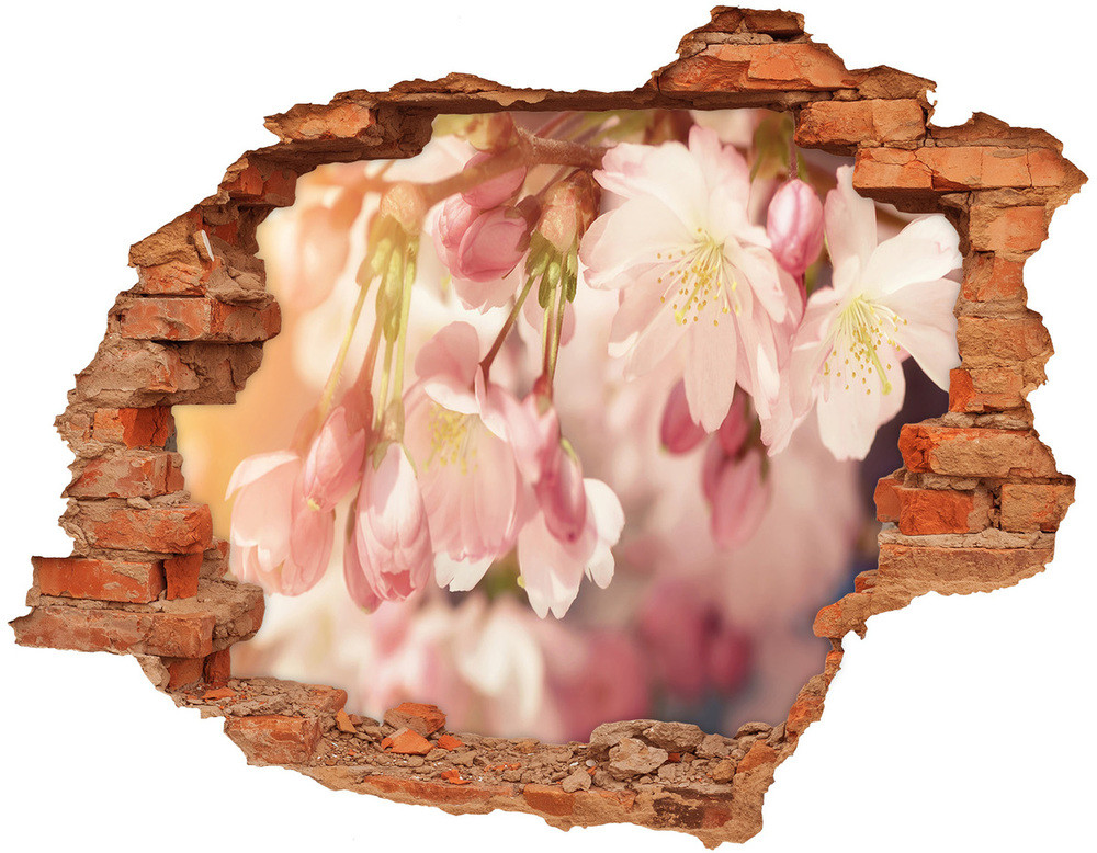 Wallmuralia.pl Samoprzylepna dziura na ścianę Kwiaty wiśni