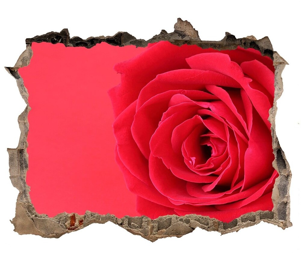 Wallmuralia.pl Dziura 3d fototapeta na ścianę Czerwona róża