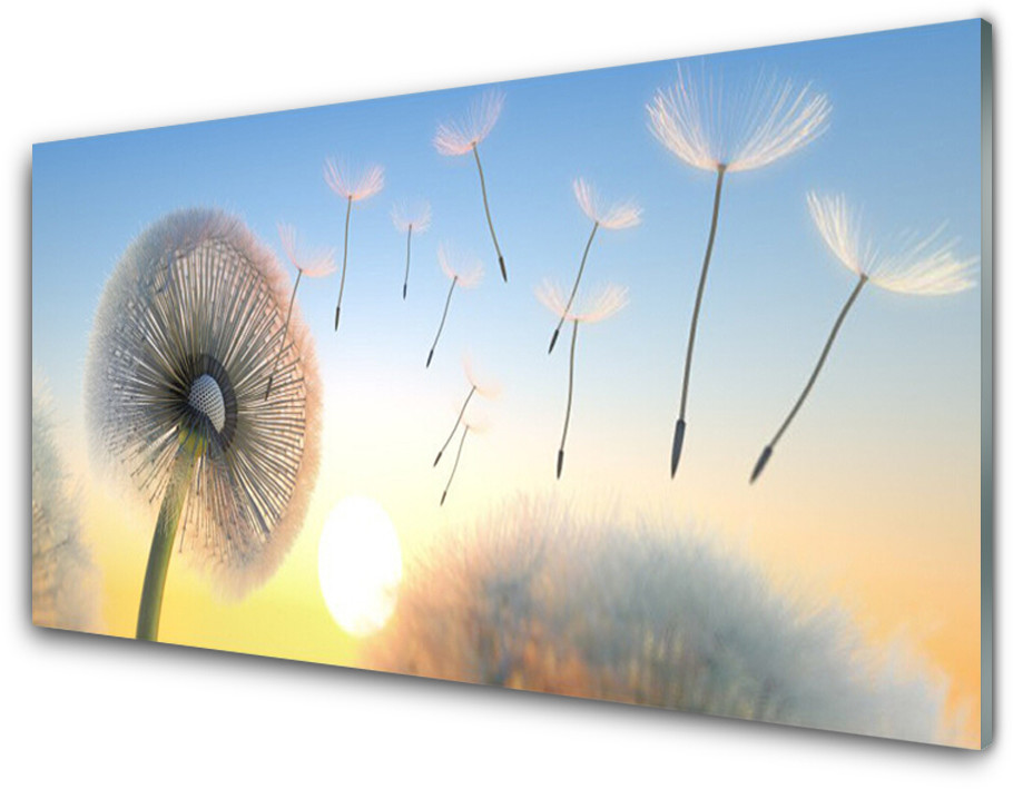 Tulup.pl Panel Szklany Dmuchawiec Kwiaty Roślina 120x60cm