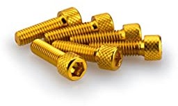 Puig 0364 G blister 6 śrub, M6, 20 mm, złoty 0364G
