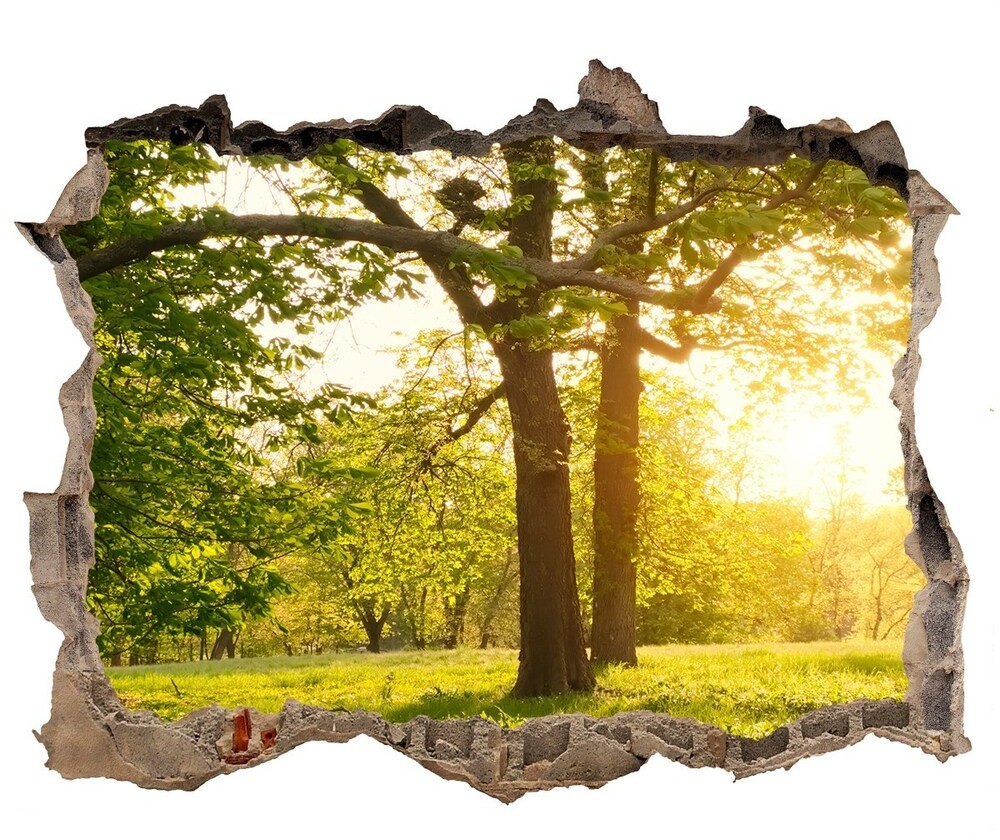 Wallmuralia.pl naklejka fototapeta 3D widok Drzewa w parku