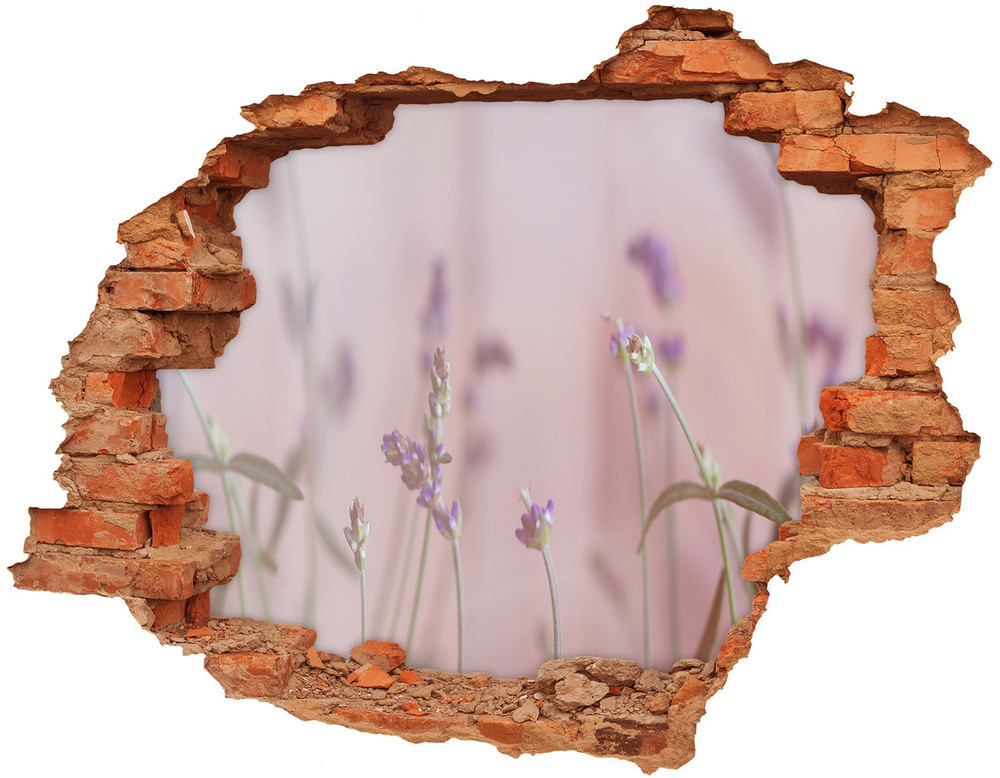 Wallmuralia.pl Samoprzylepna dziura na ścianę naklejka Lawenda