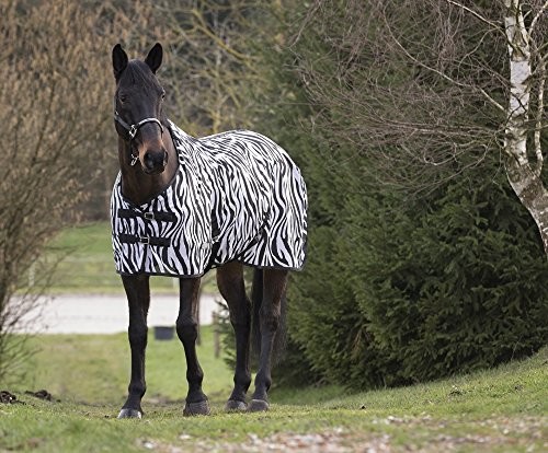 Equi-Thme equi-thme 