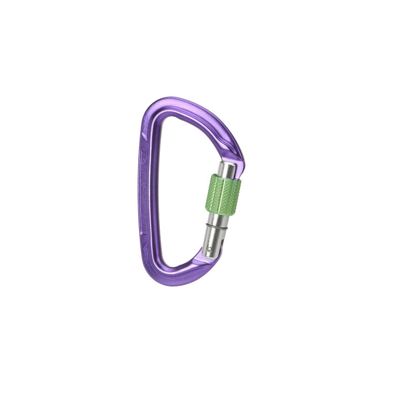 Wild Country Session Karabinek, purple/green 2021 Karabinki zakręcane 40-0000001000-5823-OSFA