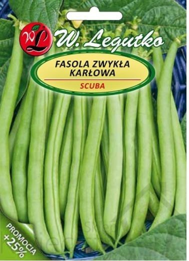 Legutko sp. z o.o Nasiona Fasola szparagowa karłowa Scuba-zielona
