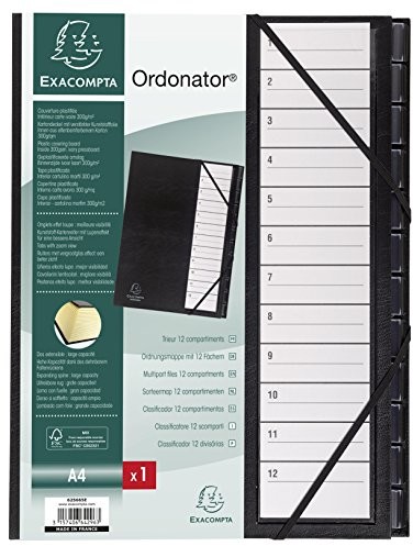Exacompta 625665e teczka na ze stałym pokrywa, ściągacz z gumką i harmonijka Dehn barem-, 12 przegródek na plecy z tworzywa sztucznego A4 1  12 Ordonator, format DIN A4, czarny 625665E
