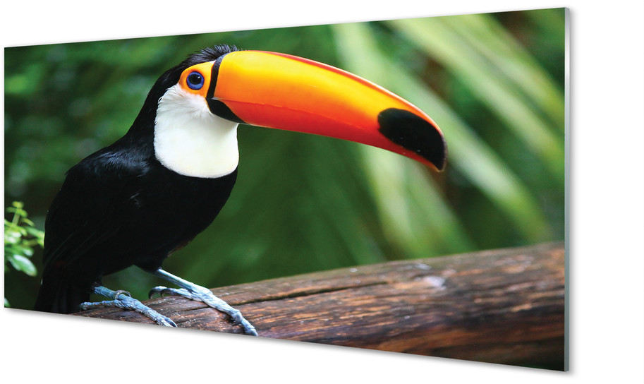 Tulup.pl Panel Szklany Tukan na gałęzi 120x60cm