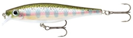 Rapala BX Minnow 10 cm RT Rainbow Trout 099736