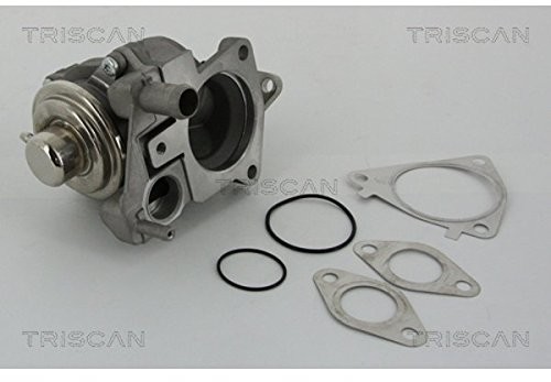 Triscan triscan 8813 28019 AGR zaworów 8813 28019