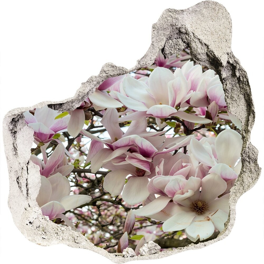 Wallmuralia.pl Samoprzylepna naklejka fototapeta Kwiaty magnolii