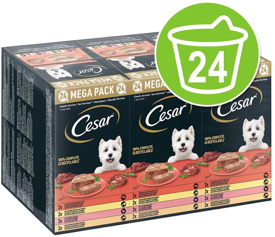 Cesar Megapakiet w tackach 24 x 150 g Classic Terrine Mix 24 x 150 g