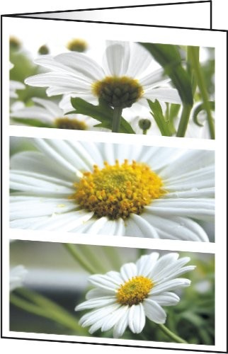 Sigel kartek z pozdrowieniami A6, 25 sztuki DC171