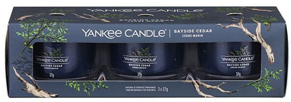 Yankee Candle Zestaw świec wotywnych w szkle Bayside Cedar 3 x 37 g