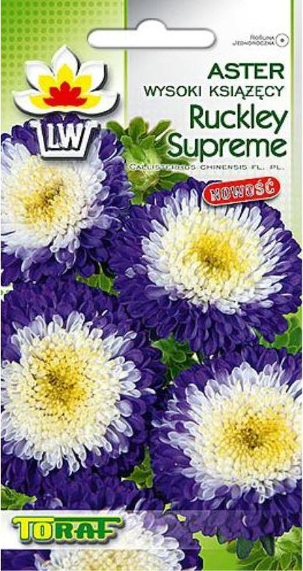 Toraf KWIATY Aster książęcy Ruckley Supreme 1g 00332