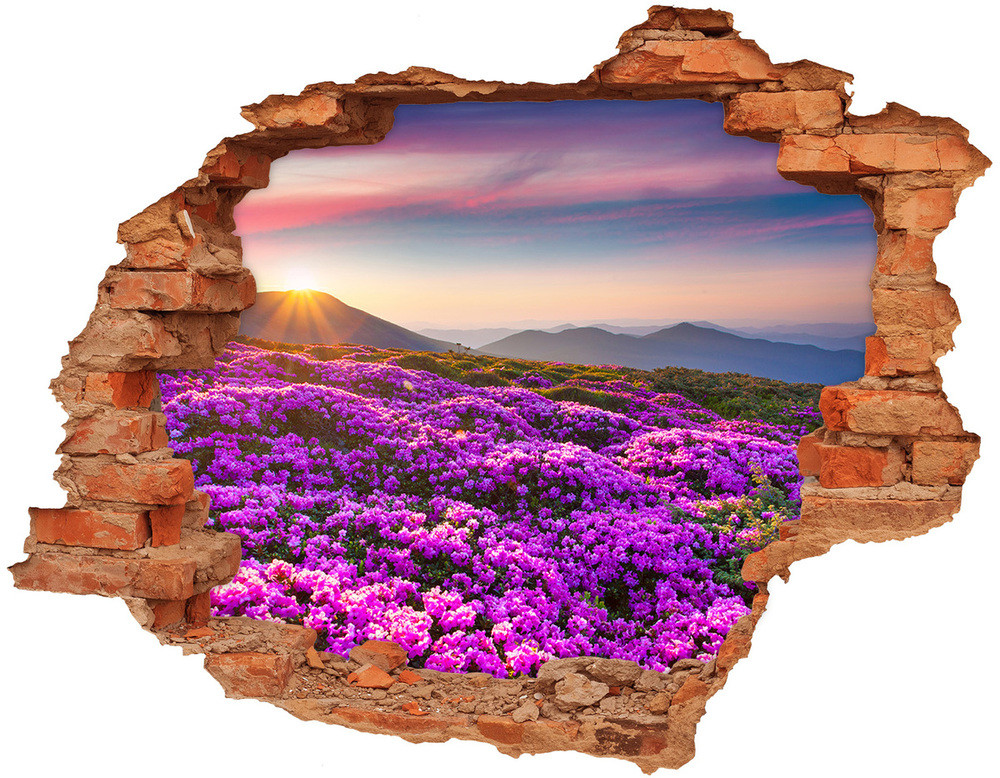 Wallmuralia.pl Samoprzylepna dziura na ścianę Kwiaty w górach
