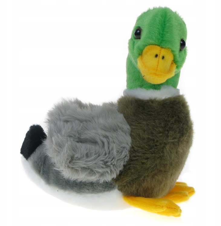 Zoo: maskotka Kaczka Krzyżówka 17cm (05744)