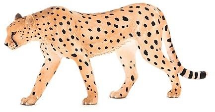 Animal Planet Samiec Geparda