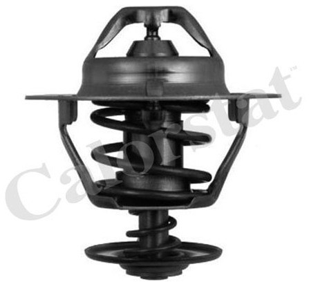 CALORSTAT Termostat, środek chłodzący CALORSTAT TH6319.88J