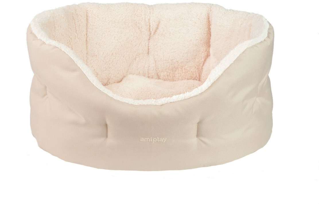 amiplay ColosseumASPEN