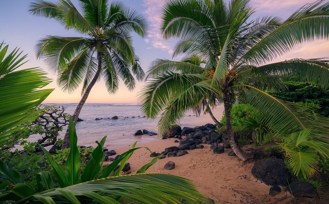 Komar Fototapeta Hawaiian Dreams SHX9-116 SHX9-116