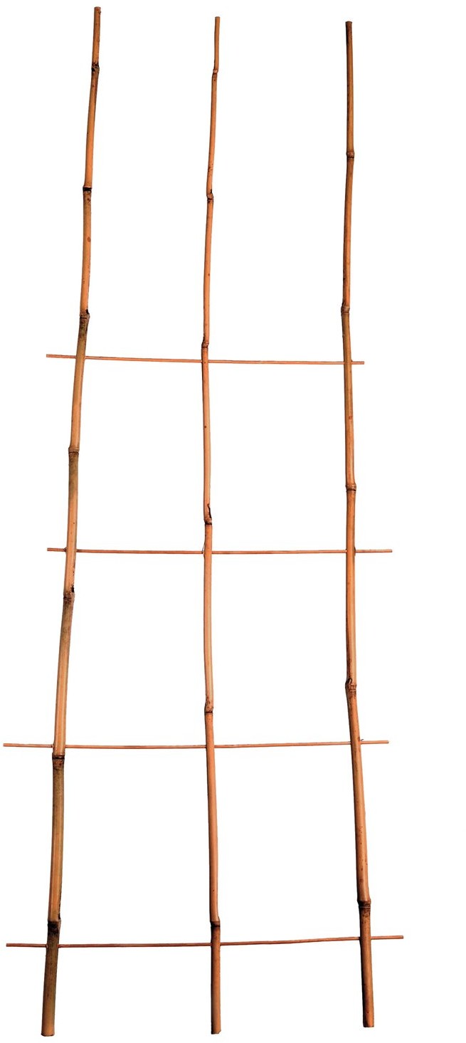 gockowiak Drabinka bambusowa potrójna 120 cm