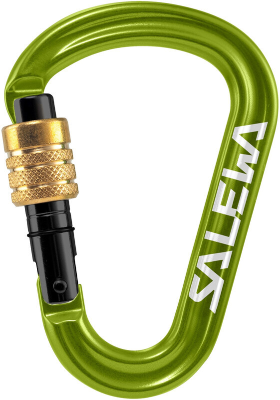 Salewa HMS Pro Carabiner, fluo green 2021 Karabinki niezakręcane 00-0000001521-5810-UNI