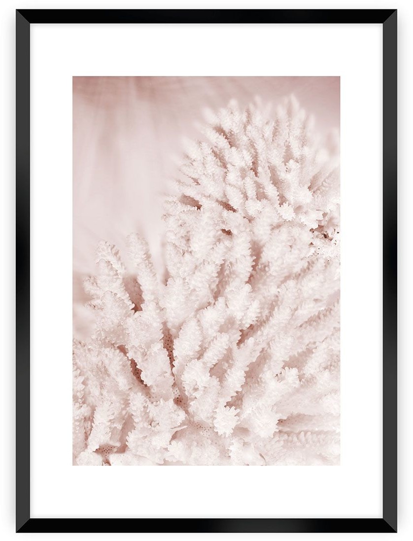 Dekoria Plakat Pastel Pink II 50 x 70 cm Ramka Czarna 222E-000-44