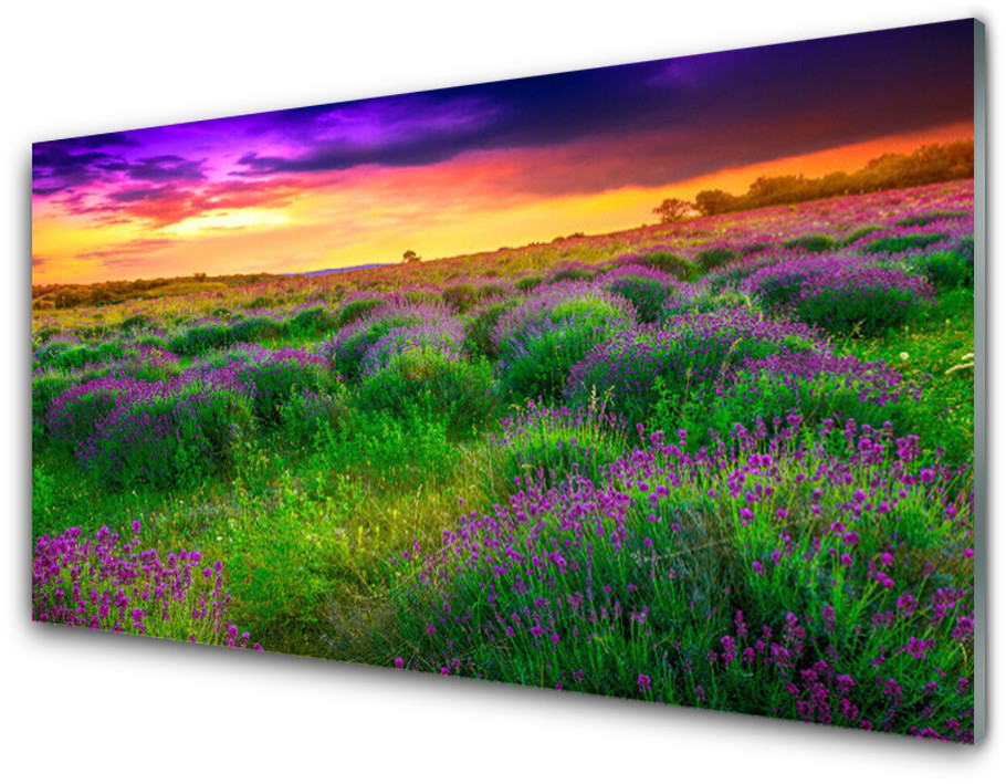 Tulup.pl Panel Kuchenny Łąka Natura 125x50cm