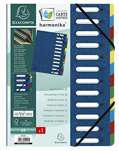 Exacompta 55122E opakowanie z 6 teczkami na dokumenty (harmonijka, DIN A4, 21 x 29,7 cm, 12 przegródek, z kartonu z manilo, gumowym ściągaczem, okienkiem indeksującym), 6 sztuk w zestawie, niebieskie