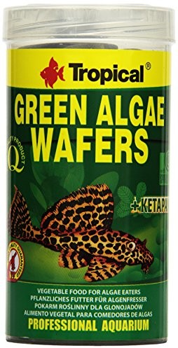 Tropical Green Algae półprzewodnikowe sumów Chips, 1er Pack (1 X 250 ML)