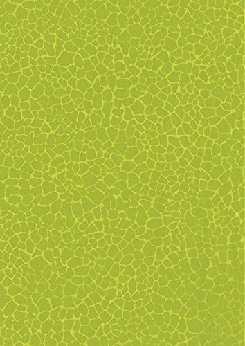 Clairefontaine Papier decopatch do majsterkowania, 395 X 298 MM), 3 sztuki, Green C531O