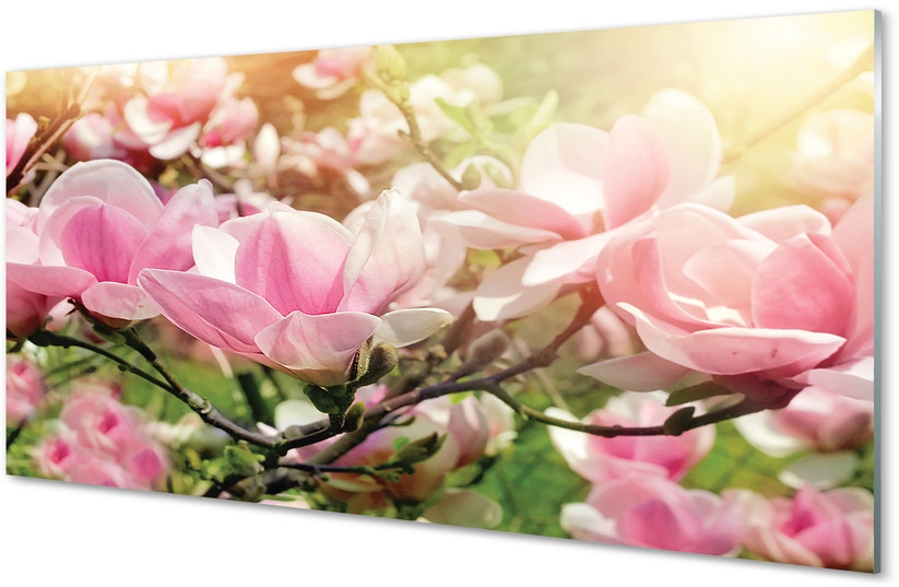 Tulup.pl Szklany Panel Kwiaty 100x50cm