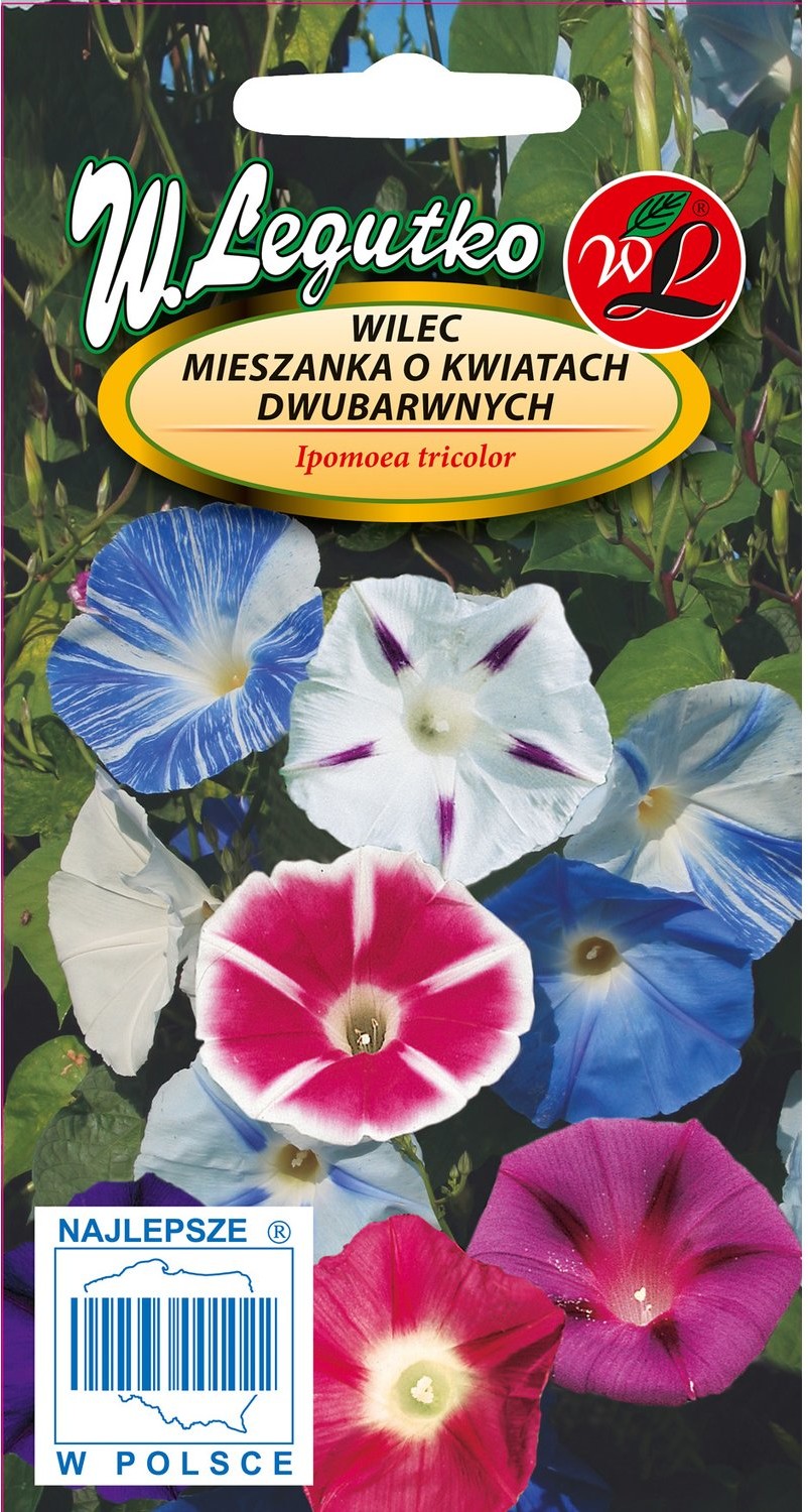 Opinie o Wilec mieszanka o dwubarwnych kwiatach