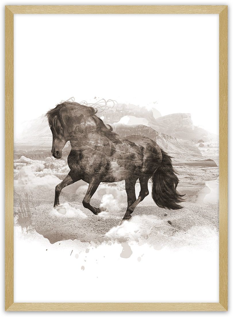 Dekoria Dekoria Plakat Horse 50 x 70 cm Ramka Złota 222H-000-27