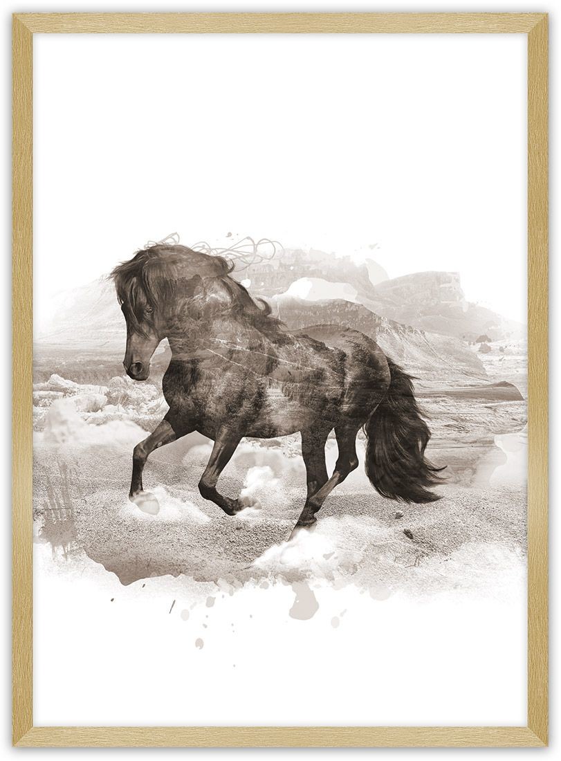 Dekoria Dekoria Plakat Horse 30 x 40 cm Ramka Złota 219A-000-27