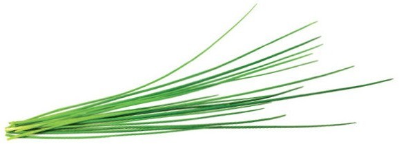 Click&Grow Kapsułki z nasionami Smart Soil 3 szt. szczypiorek 4742793007540