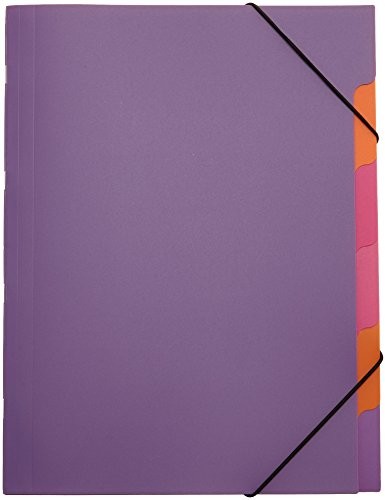 Pagna Funky School Trend 41803-12 teczka na dokumenty, PP, 5-częściowa, fioletowa 41803-12
