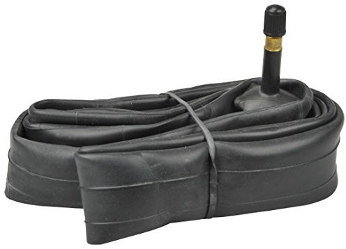 Accent Fischer pasi 24