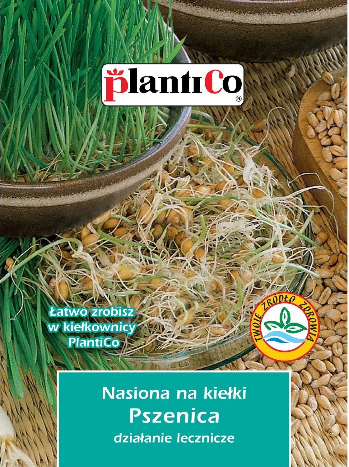 Plantico Nasiona na Kiełki pszenicy