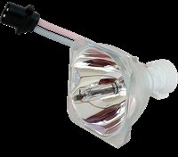 Phoenix Lampa do SHP114 - oryginalna lampa bez modułu SHP114