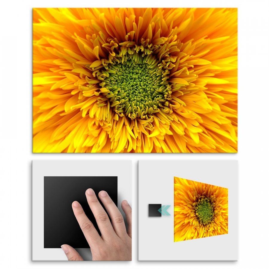 Pix4home Plakat metalowy centrum słonecznika M POS-M-01391