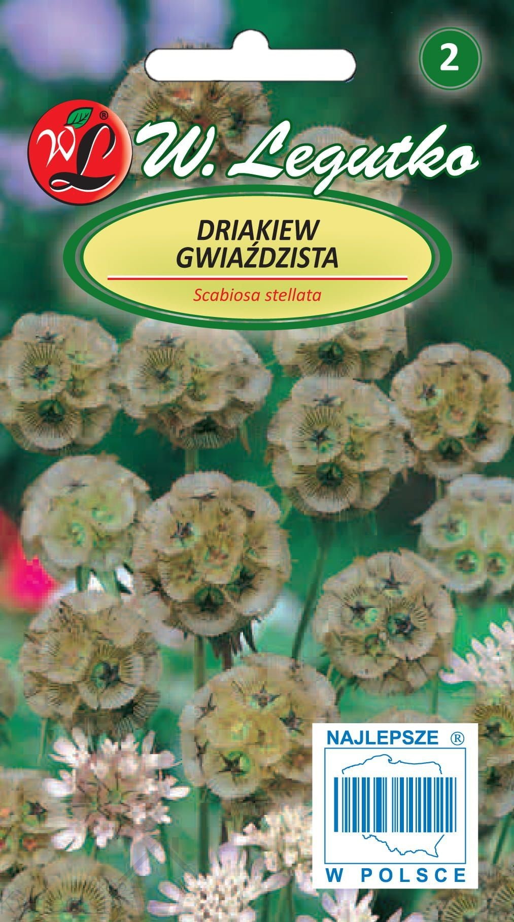 Legutko sp. z o.o Nasiona Driakiew gwiaździsta, 1g